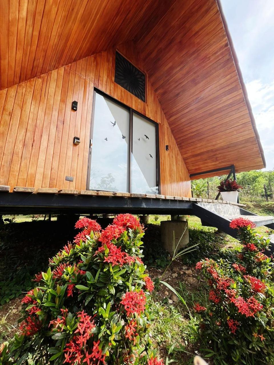 Myra Chalets Bijagua Exteriör bild