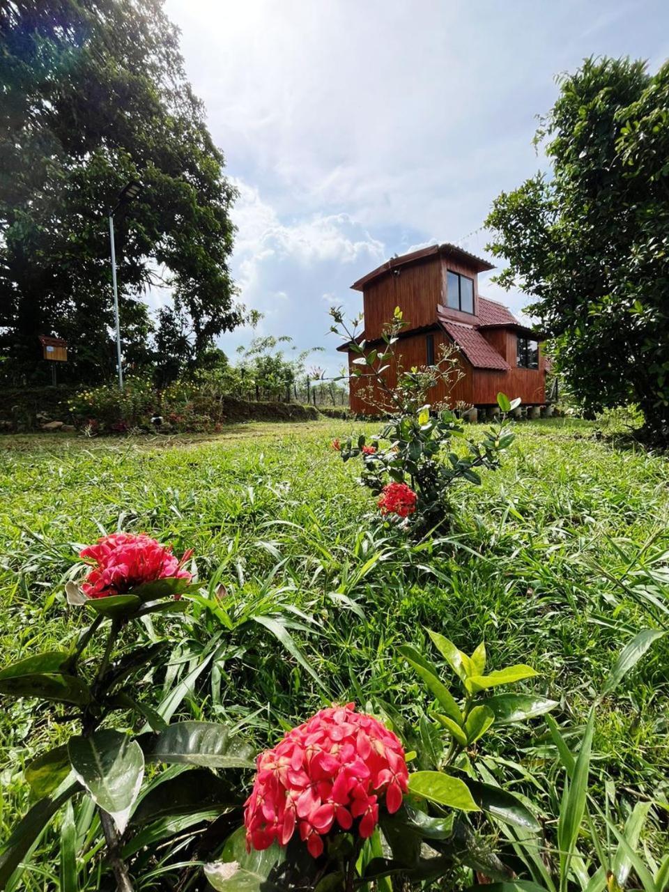 Myra Chalets Bijagua Exteriör bild